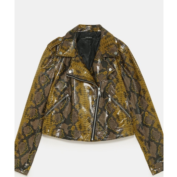 zara snakeskin biker jacket